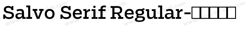 Salvo Serif Regular字体转换